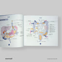 cover-side